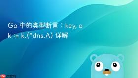 Go 中的类型断言:key, ok := k.(*dns.A) 详解