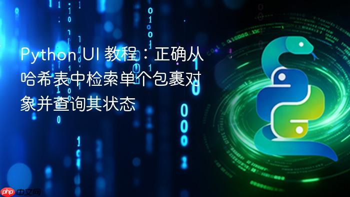 Python UI 教程:正确从哈希表中检索单个包裹对象并查询其状态