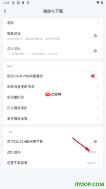 网易云音乐手机版设置免费歌曲边听边存的方法