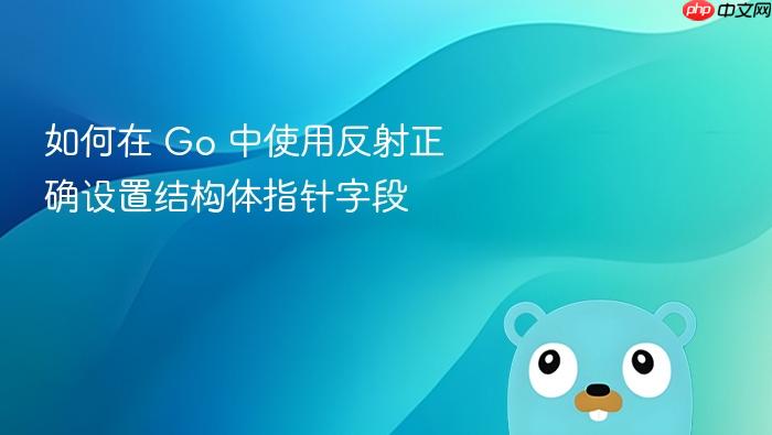 如何在 Go 中使用反射正确设置结构体指针字段