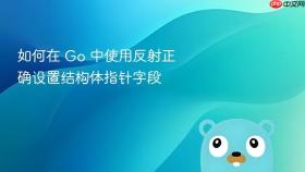 如何在 Go 中使用反射正确设置结构体指针字段