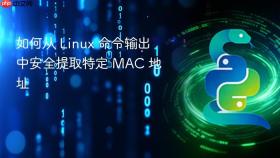 如何从 Linux 命令输出中安全提取特定 MAC 地址