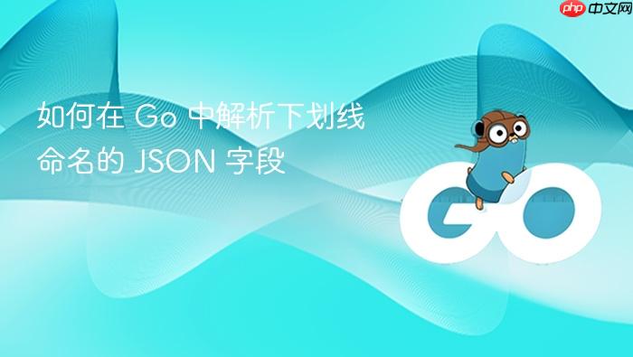如何在 Go 中解析下划线命名的 JSON 字段