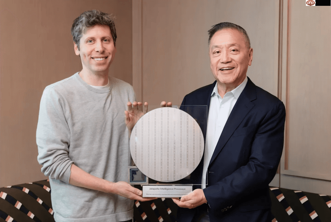 Google要把AI大模型「刻」进芯片里