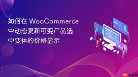 如何在 WooCommerce 中动态更新可变产品选中变体的价格显示