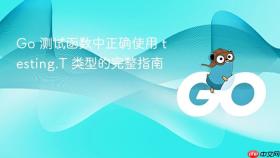 Go 测试函数中正确使用 testing.T 类型的完整指南