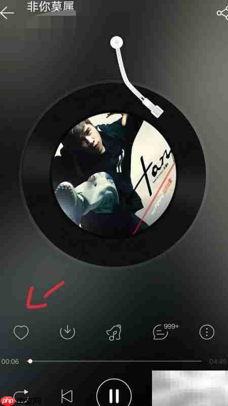 网易云收藏歌曲全攻略