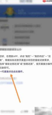 拍拍借款提前还款攻略