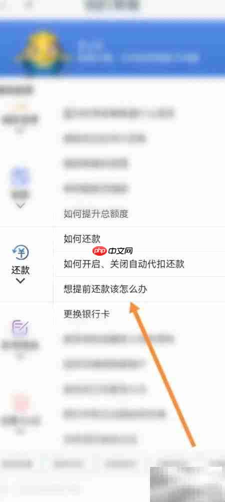 拍拍借款提前还款攻略