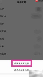闪电搜索更换背景图教程