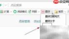 360浏览器用谷歌翻译设置