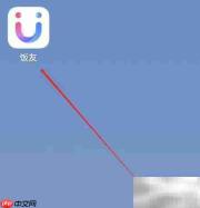 饭友会员权益查询指南