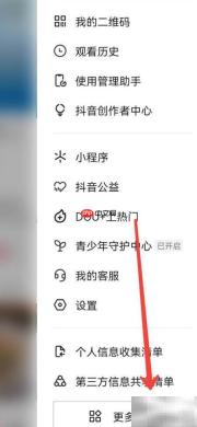 抖音极速版动漫观看指南