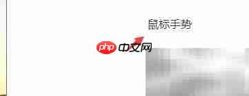 里讯浏览器鼠标手势设置方法