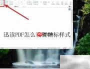 迅读PDF鼠标样式设置方法