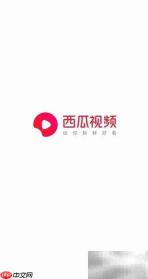 西瓜视频如何播放影视内容