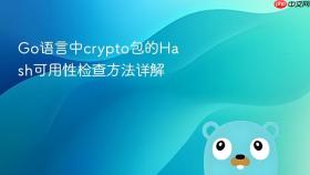 Go语言中crypto包的Hash可用性检查方法详解