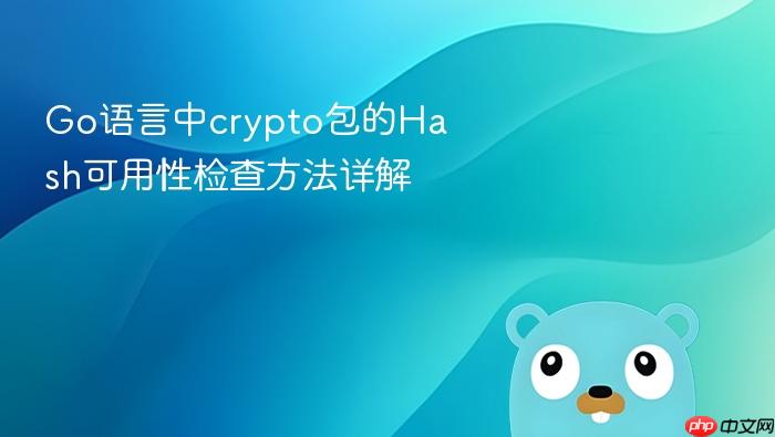 Go语言中crypto包的Hash可用性检查方法详解