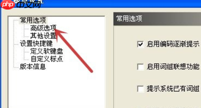 极点五笔输入法如何设置定义软键盘