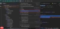 WebStorm怎样调试Vue项目