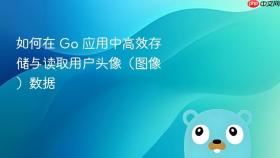 如何在 Go 应用中高效存储与读取用户头像（图像）数据
