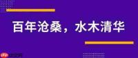 强基计划是什么意思
