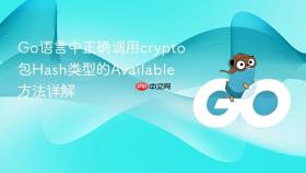Go语言中正确调用crypto包Hash类型的Available方法详解