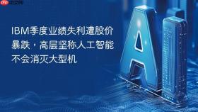 ibm季度业绩失利遭股价暴跌，高层坚称人工智能不会消灭大型机