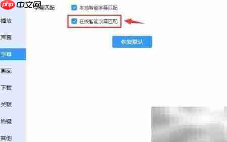 迅雷影音智能字幕设置方法
