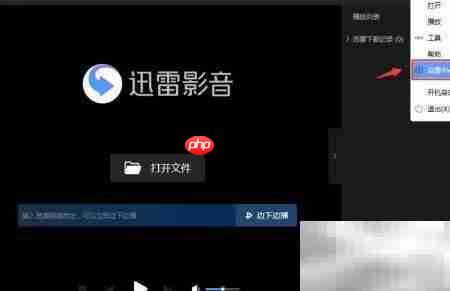 迅雷影音智能字幕设置方法