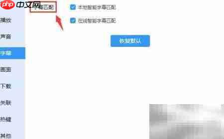 迅雷影音智能字幕设置方法