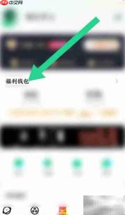 星芽短剧提现记录查看方法