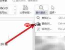 查找替换功能在Word中的位置