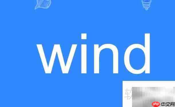 Wind是什么意思?一文读懂