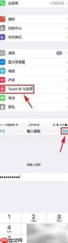 iPhone 7数据保护使用指南