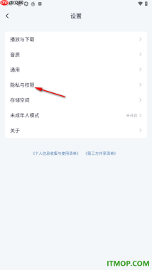 网易云音乐手机版设置允许麦克风权限访问的方法