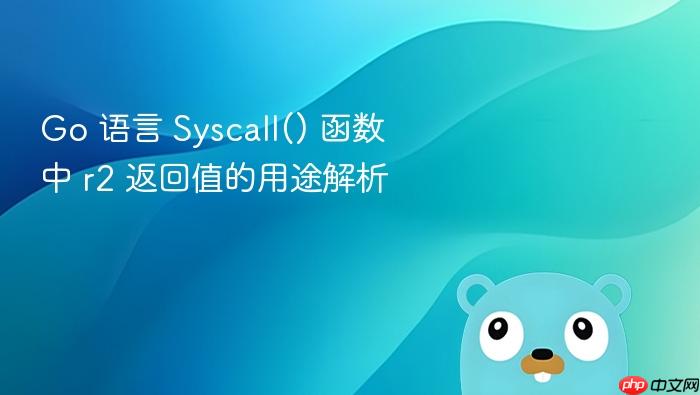 Go 语言 Syscall() 函数中 r2 返回值的用途解析