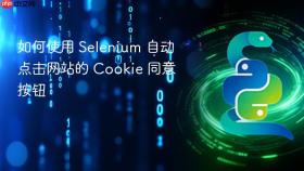 如何使用 Selenium 自动点击网站的 Cookie 同意按钮