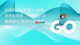如何在 Go 中按 C 结构体内存布局(含填充)正确序列化/反序列化字节数组