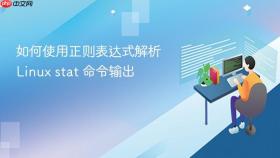 如何使用正则表达式解析 Linux stat 命令输出