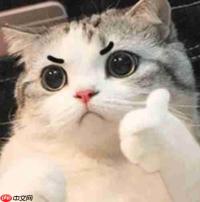 菲尔兹奖得主王虹，也发过Neurips