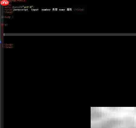Number对象使用name属性方法