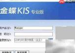 KIS查询单人全年工资方法