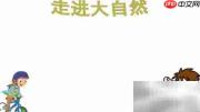 大自然的奇妙世界