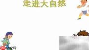 大自然的奇妙世界