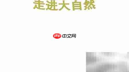 大自然的奇妙世界