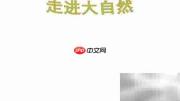 大自然的奇妙世界