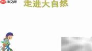 大自然的奇妙世界