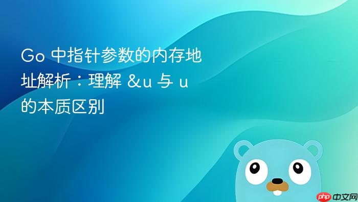 Go 中指针参数的内存地址解析:理解 &u 与 u 的本质区别