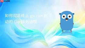 如何彻底终止 go run 启动的 Go 服务进程